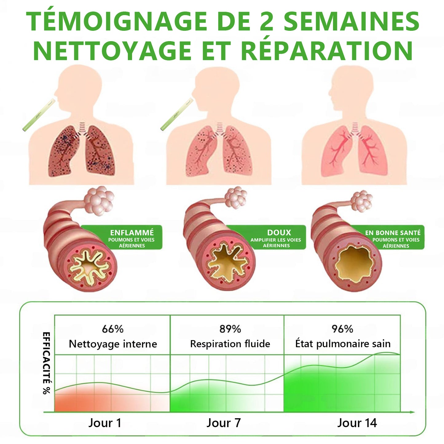 Diffuseur 𝑴𝒖𝑟𝑤𝗈𝗇® à base de plantes Mullein pour le nettoyage des poumons (🫁 Toux, pharyngite, essoufflement, expectorations, nez bouché, bronchite, symptômes allergiques, inconfort pulmonaire)💖